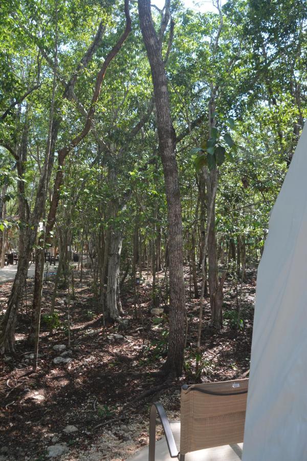 Glamping Mayan Glam Tulum Exterior foto